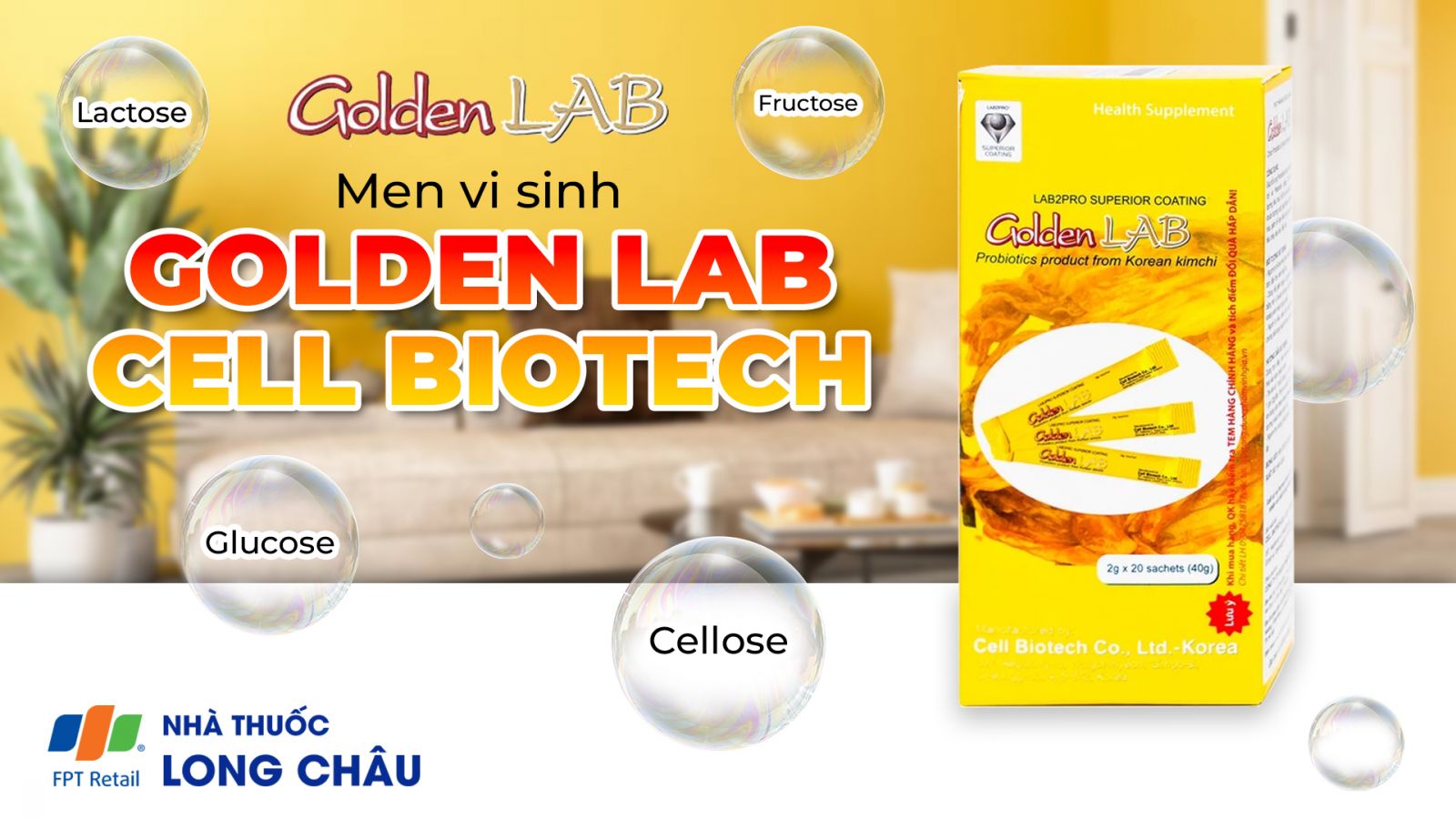 Men vi sinh Golden Lab 1