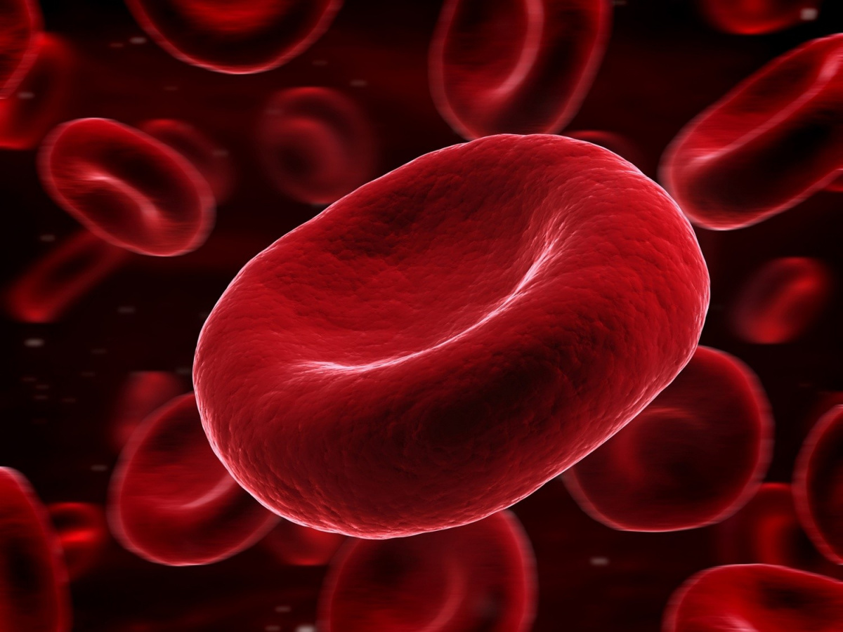 Các loại thuốc giảm mỡ máu hiệu quả được bác sĩ khuyên dùng  2