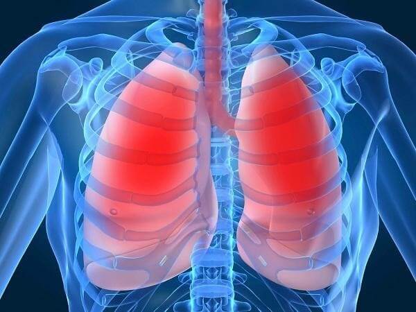 Cấu tạo, chức năng của hệ hô hấp và một số bệnh thường gặp2