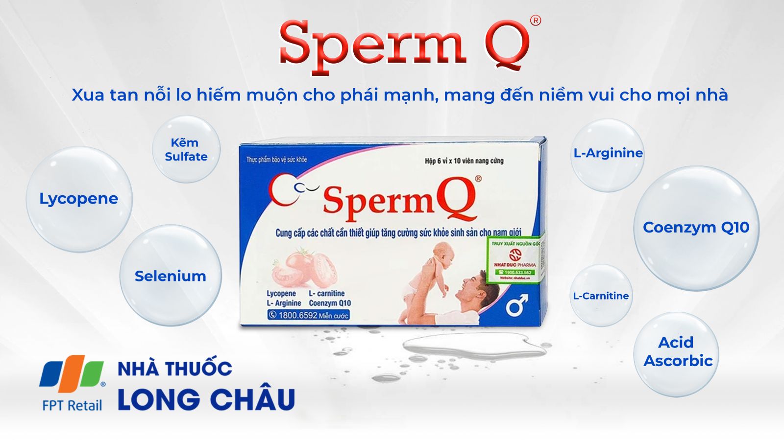 Sperm Q 1
